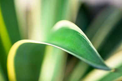 《英雄联盟》格斗游戏“Project L”双人模式演示 将在EVO 2023上提供试玩